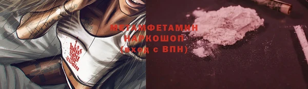 сатива Володарск